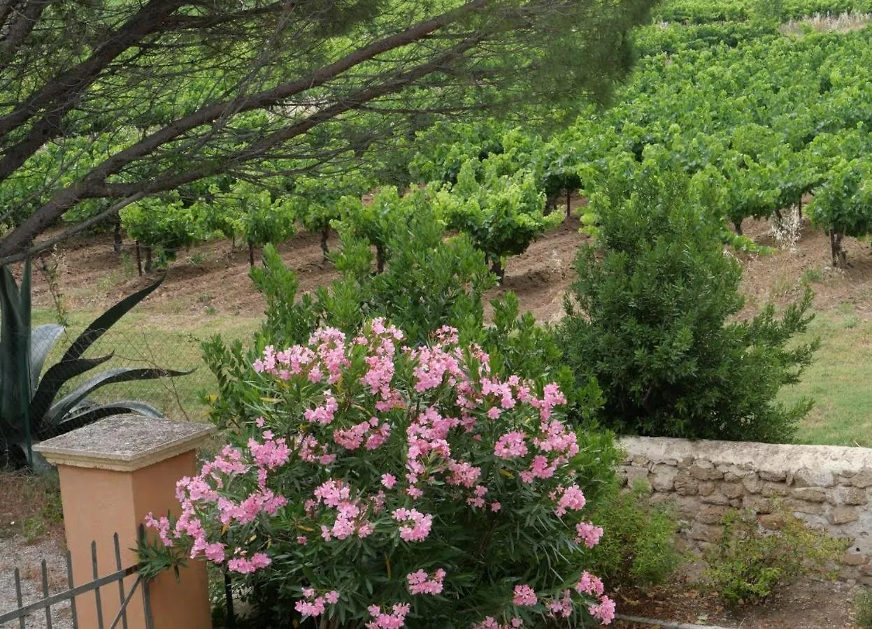 Guest house Maison D'Hotes Le Mas Des Vignes Hotel Rochegude